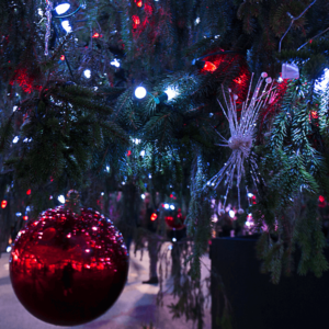twolensstory.comChristmas