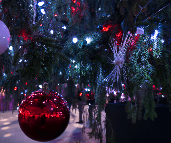 twolensstory.comChristmas